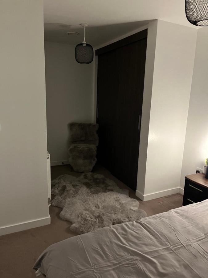 Luxurious DLR Apartment Londres Extérieur photo